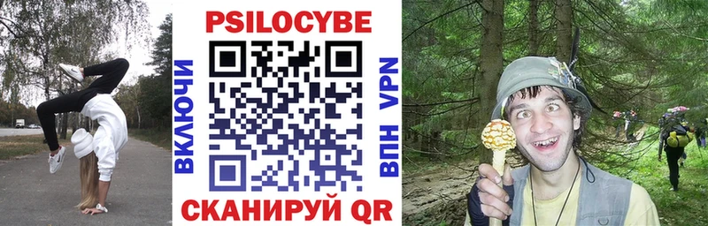 даркнет сайт  Приморско-Ахтарск  Псилоцибиновые грибы Psilocybe 