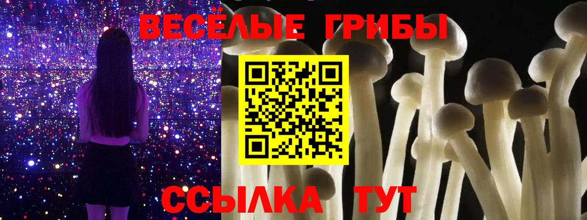 Галлюциногенные грибы MAGIC MUSHROOMS  Псилоцибиновые грибы MAGIC MUSHROOMS  Приморско-Ахтарск  Вход с VPN 